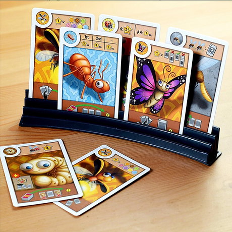 BIG Token Racks
